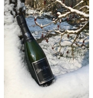 Étiquette de Champagne Gilles Virey Brut